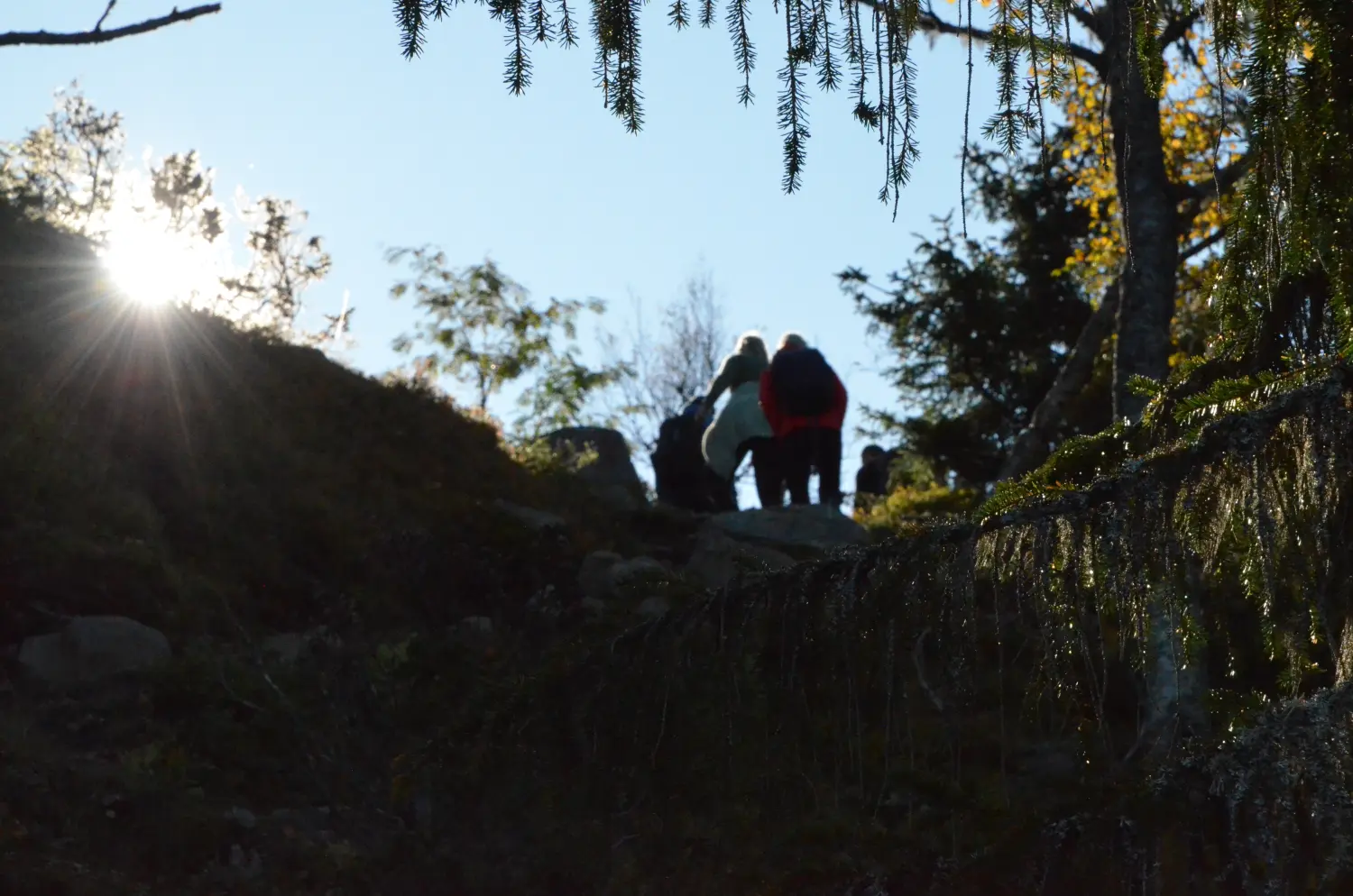 Neue Wanderwege ausgeschildert