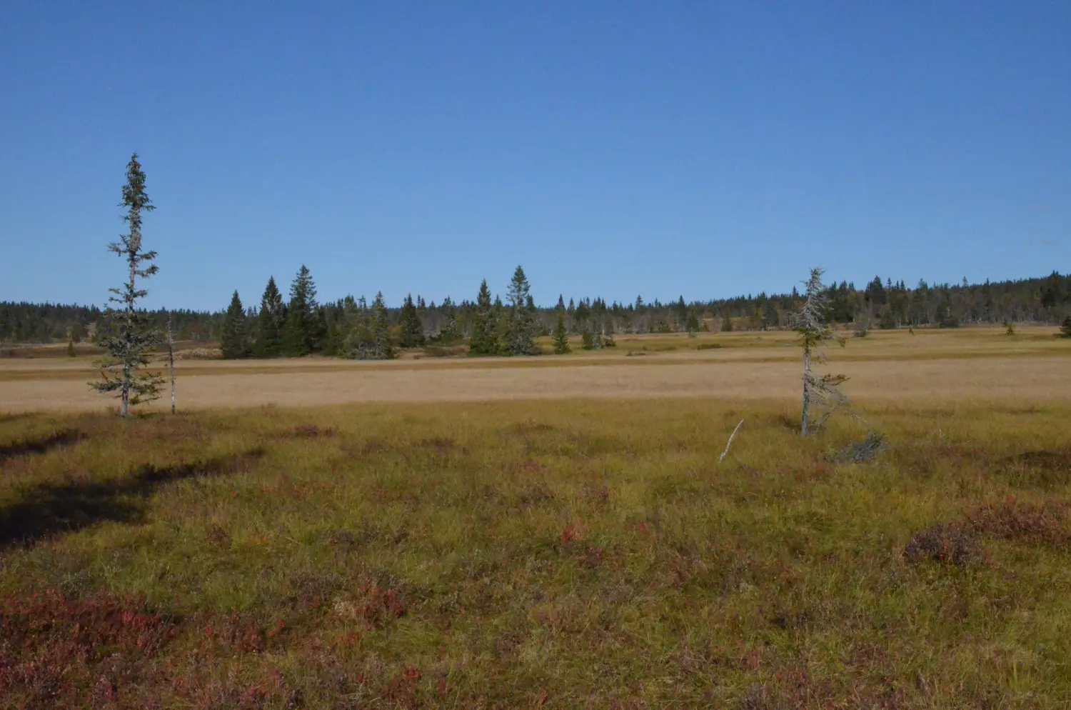 Sommerurlaub in Sjusjøen