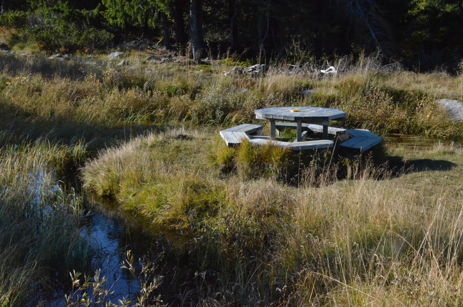 Sommerurlaub in Sjusjøen